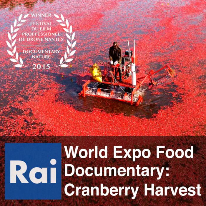 Drone Videography Project of World Expo Food Documentary at Cranberry Harvest