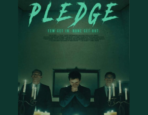 Aerial Drone Project for Pledge Film